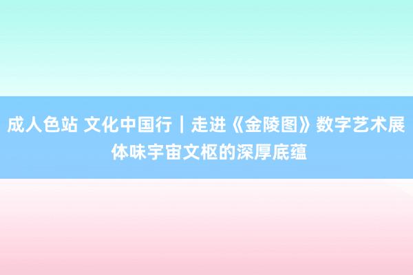 成人色站 文化中国行｜走进《金陵图》数字艺术展 体味宇宙文枢的深厚底蕴