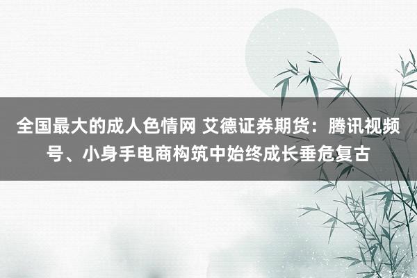 全国最大的成人色情网 艾德证券期货：腾讯视频号、小身手电商构筑中始终成长垂危复古