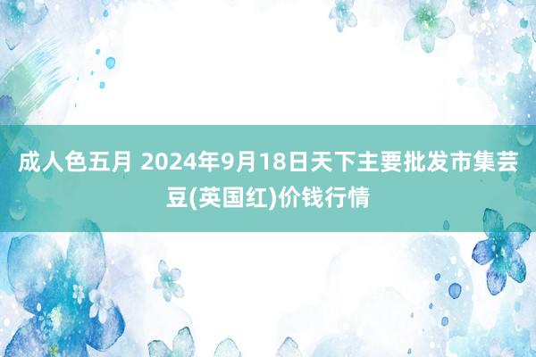 成人色五月 2024年9月18日天下主要批发市集芸豆(英国红)价钱行情