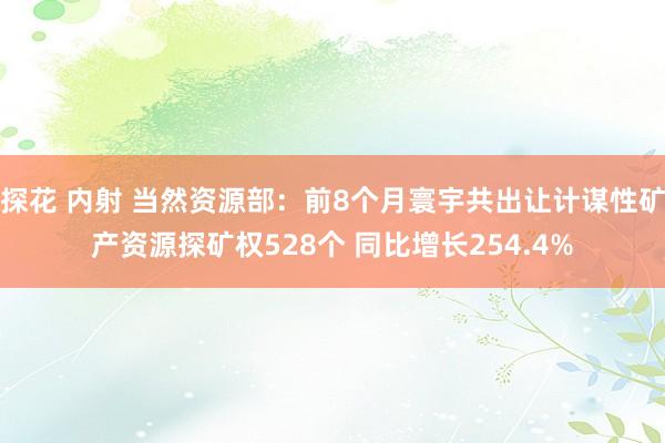 探花 内射 当然资源部：前8个月寰宇共出让计谋性矿产资源探矿权528个 同比增长254.4%