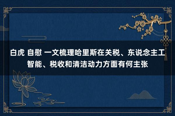 白虎 自慰 一文梳理哈里斯在关税、东说念主工智能、税收和清洁动力方面有何主张