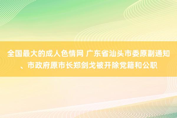 全国最大的成人色情网 广东省汕头市委原副通知、市政府原市长郑剑戈被开除党籍和公职