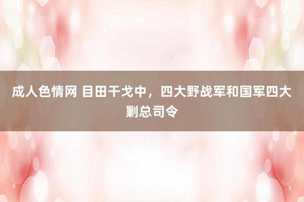 成人色情网 目田干戈中，四大野战军和国军四大剿总司令