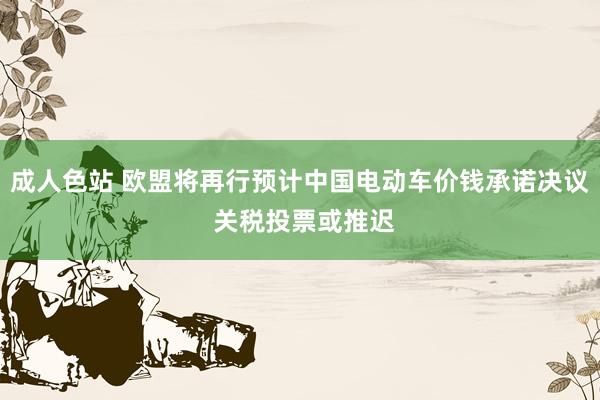 成人色站 欧盟将再行预计中国电动车价钱承诺决议 关税投票或推迟