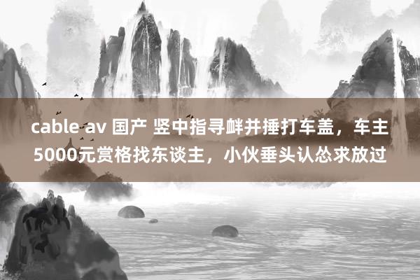 cable av 国产 竖中指寻衅并捶打车盖，车主5000元赏格找东谈主，小伙垂头认怂求放过