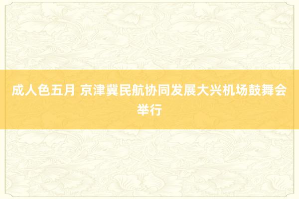 成人色五月 京津冀民航协同发展大兴机场鼓舞会举行