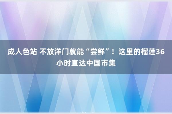 成人色站 不放洋门就能“尝鲜”！这里的榴莲36小时直达中国市集