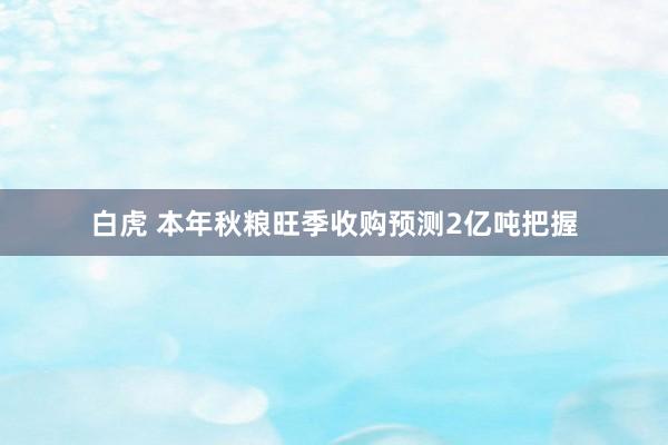 白虎 本年秋粮旺季收购预测2亿吨把握