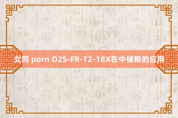 女同 porn O2S-FR-T2-18X在中储粮的应用