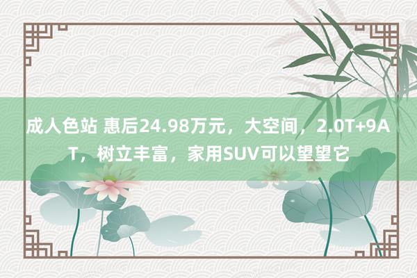 成人色站 惠后24.98万元，大空间，2.0T+9AT，树立丰富，家用SUV可以望望它