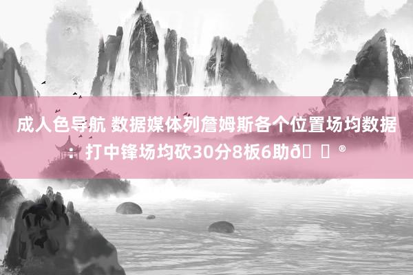 成人色导航 数据媒体列詹姆斯各个位置场均数据：打中锋场均砍30分8板6助😮