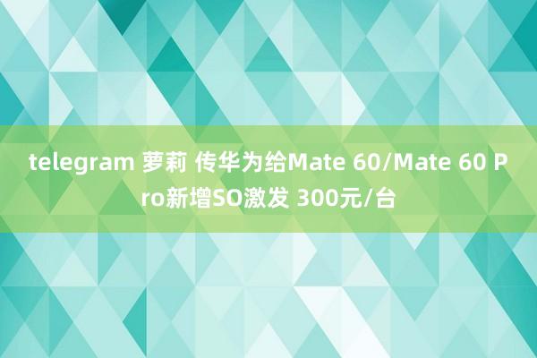 telegram 萝莉 传华为给Mate 60/Mate 60 Pro新增SO激发 300元/台