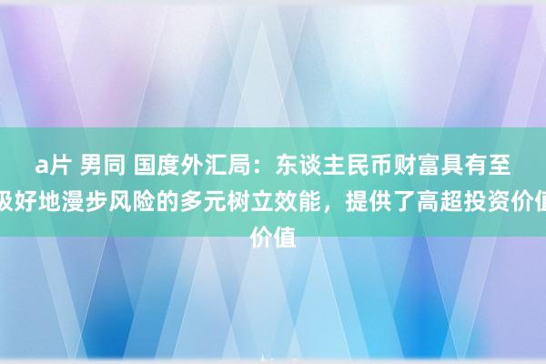 a片 男同 国度外汇局：东谈主民币财富具有至极好地漫步风险的多元树立效能，提供了高超投资价值