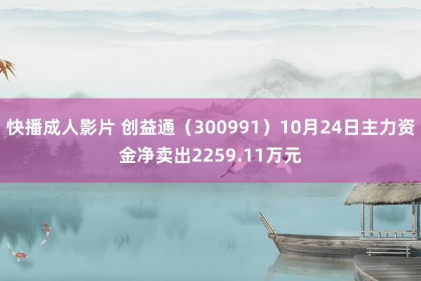 快播成人影片 创益通（300991）10月24日主力资金净卖出2259.11万元