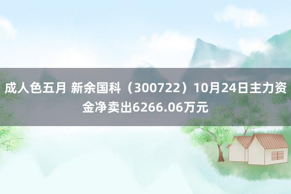 成人色五月 新余国科（300722）10月24日主力资金净卖出6266.06万元