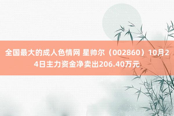 全国最大的成人色情网 星帅尔（002860）10月24日主力资金净卖出206.40万元