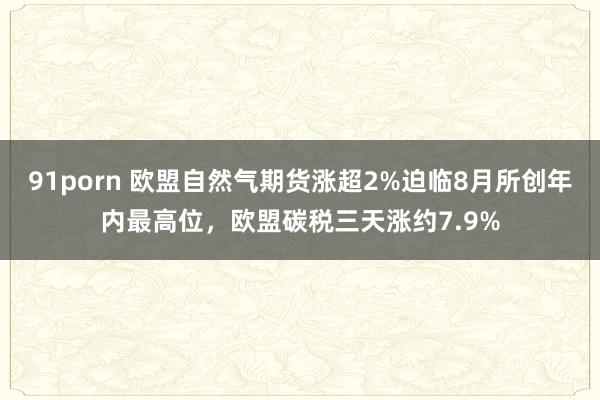 91porn 欧盟自然气期货涨超2%迫临8月所创年内最高位，欧盟碳税三天涨约7.9%