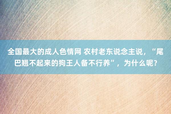 全国最大的成人色情网 农村老东说念主说，“尾巴翘不起来的狗王人备不行养”，为什么呢？