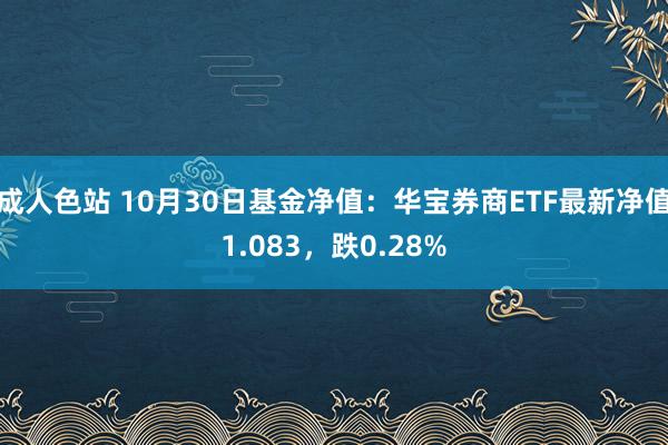 成人色站 10月30日基金净值：华宝券商ETF最新净值1.083，跌0.28%