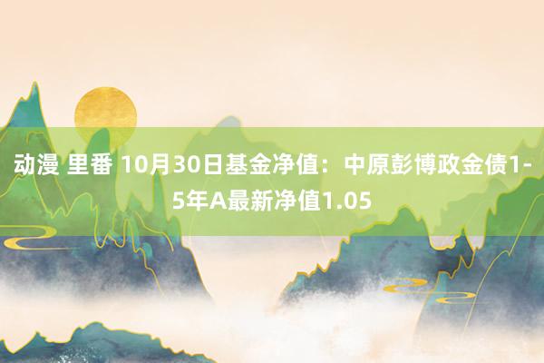 动漫 里番 10月30日基金净值：中原彭博政金债1-5年A最新净值1.05