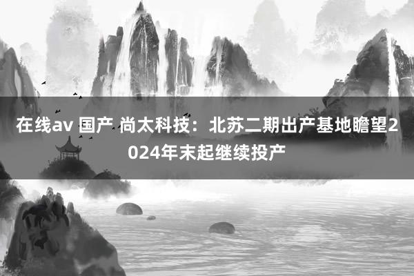 在线av 国产 尚太科技：北苏二期出产基地瞻望2024年末起继续投产