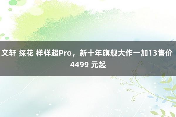 文轩 探花 样样超Pro，新十年旗舰大作一加13售价 4499 元起