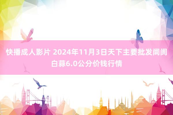 快播成人影片 2024年11月3日天下主要批发阛阓白蒜6.0公分价钱行情