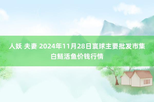 人妖 夫妻 2024年11月28日寰球主要批发市集白鲢活鱼价钱行情