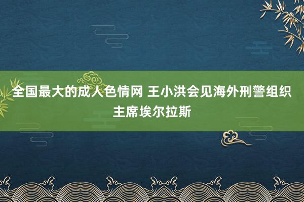 全国最大的成人色情网 王小洪会见海外刑警组织主席埃尔拉斯