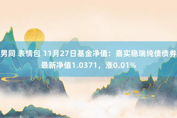 男同 表情包 11月27日基金净值：嘉实稳瑞纯债债券最新净值1.0371，涨0.01%