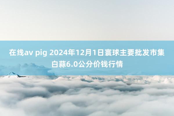 在线av pig 2024年12月1日寰球主要批发市集白蒜6.0公分价钱行情