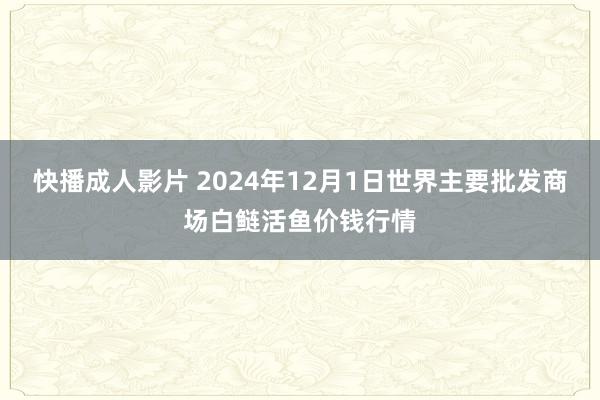 快播成人影片 2024年12月1日世界主要批发商场白鲢活鱼价钱行情