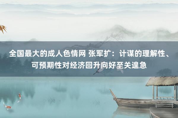 全国最大的成人色情网 张军扩：计谋的理解性、可预期性对经济回升向好至关遑急