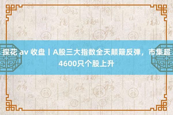 探花 av 收盘丨A股三大指数全天颠簸反弹，市集超4600只个股上升