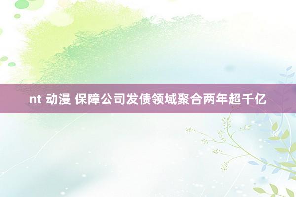 nt 动漫 保障公司发债领域聚合两年超千亿