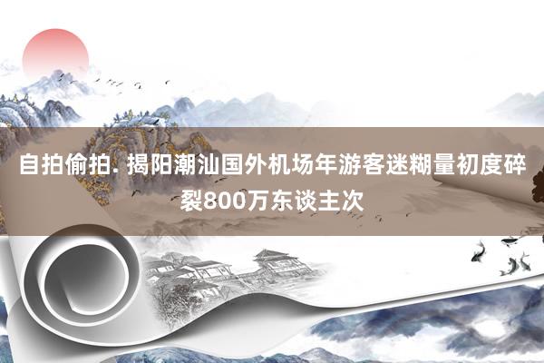 自拍偷拍. 揭阳潮汕国外机场年游客迷糊量初度碎裂800万东谈主次