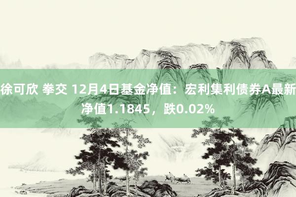 徐可欣 拳交 12月4日基金净值：宏利集利债券A最新净值1.1845，跌0.02%