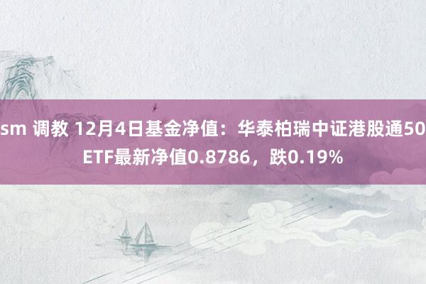 sm 调教 12月4日基金净值：华泰柏瑞中证港股通50ETF最新净值0.8786，跌0.19%