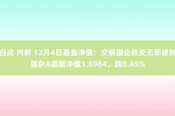 白虎 内射 12月4日基金净值：交银国企改变无邪建树羼杂A最新净值1.6984，跌0.45%