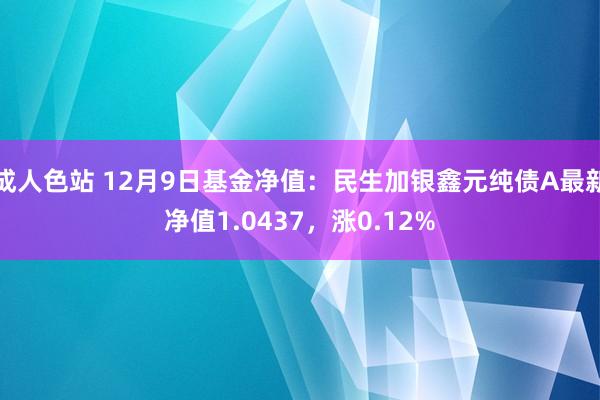 成人色站 12月9日基金净值：民生加银鑫元纯债A最新净值1.0437，涨0.12%