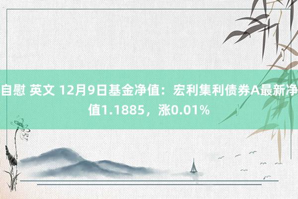 自慰 英文 12月9日基金净值：宏利集利债券A最新净值1.1885，涨0.01%