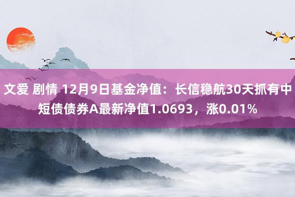 文爱 剧情 12月9日基金净值：长信稳航30天抓有中短债债券A最新净值1.0693，涨0.01%