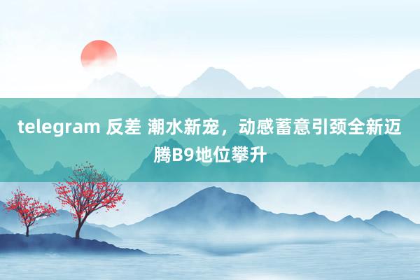 telegram 反差 潮水新宠，动感蓄意引颈全新迈腾B9地位攀升