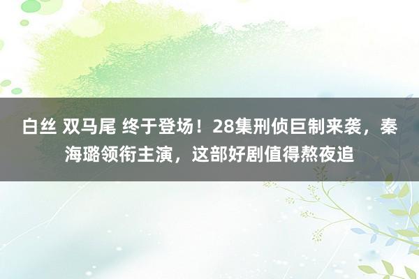 白丝 双马尾 终于登场！28集刑侦巨制来袭，秦海璐领衔主演，这部好剧值得熬夜追