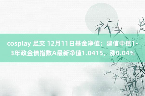 cosplay 足交 12月11日基金净值：建信中债1-3年政金债指数A最新净值1.0415，涨0.04%