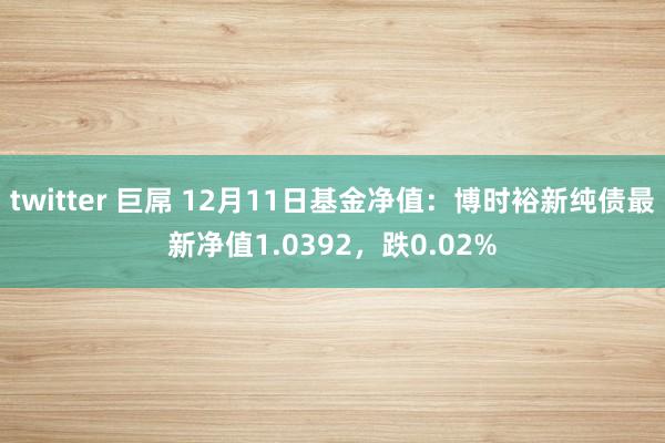 twitter 巨屌 12月11日基金净值：博时裕新纯债最新净值1.0392，跌0.02%