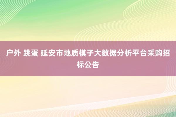 户外 跳蛋 延安市地质模子大数据分析平台采购招标公告