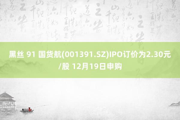 黑丝 91 国货航(001391.SZ)IPO订价为2.30元/股 12月19日申购