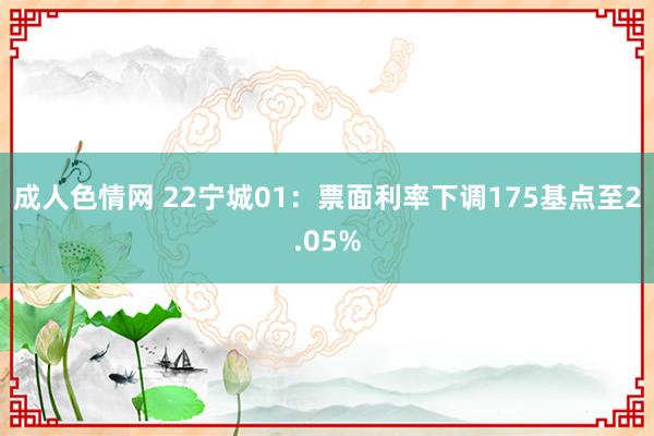 成人色情网 22宁城01：票面利率下调175基点至2.05%