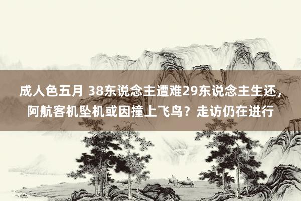 成人色五月 38东说念主遭难29东说念主生还，阿航客机坠机或因撞上飞鸟？走访仍在进行